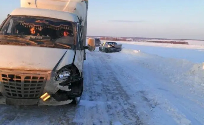 Женщина, водитель легковушки, выехала на встречку и столкнулась с грузовиком в Мордовии