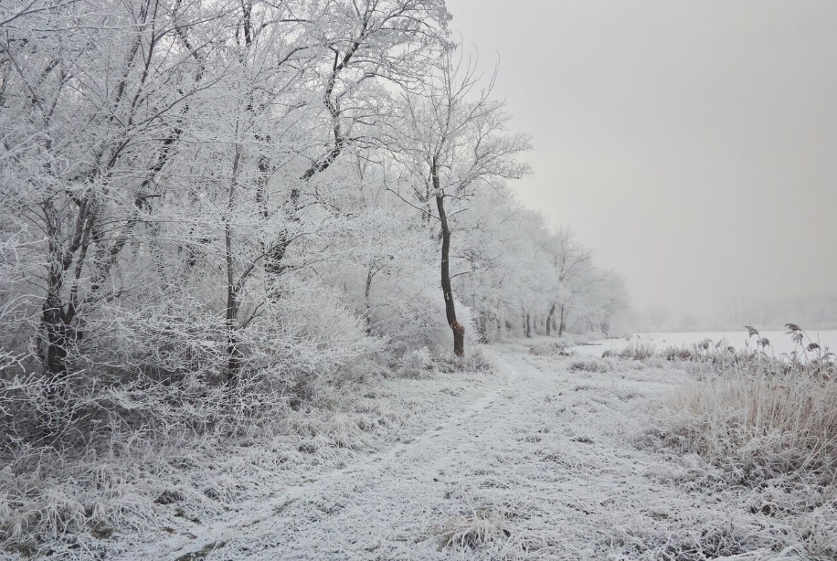 Жителям Мордовии обещают метели и снежные заносы 21 ноября